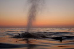 Nikon D1X lens 28mm f3.5 by Eduardo Lugo 